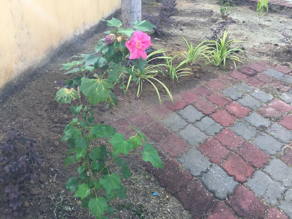 לומוט The Garden Vacation Home מראה חיצוני תמונה